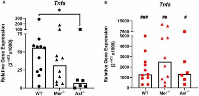 Gas6 Inhibits Toll-Like Receptor-Mediated Inflammatory Pathways in Mouse Microglia via Axl and Mer